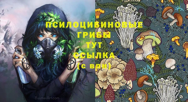 СК Нея