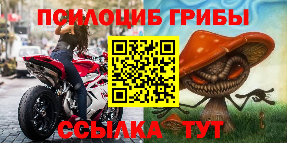 Псилоцибиновые грибы Psilocybe  Вход с VPN  как найти закладки  Ярцево 