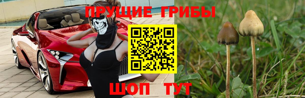 Ярцево  ГАШ  КЕТАМИН  КОКАИН  Вход с VPN  Каннабис  Метамфетамин  Мефедрон  
